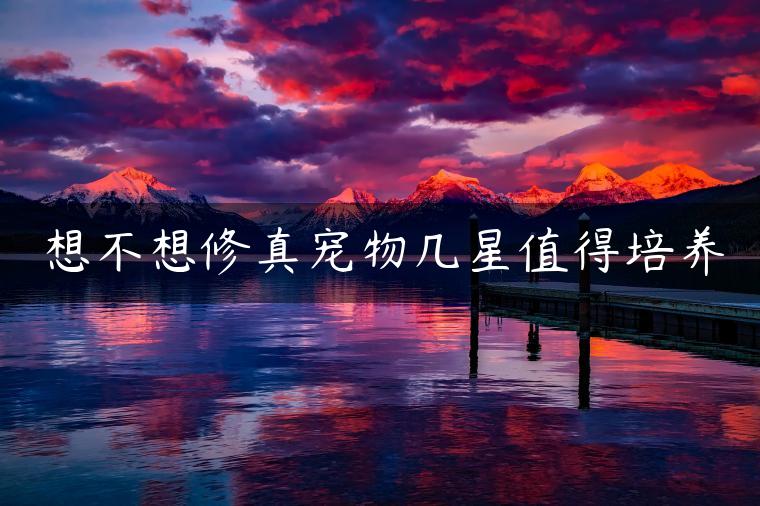 想不想修真宠物几星值得培养