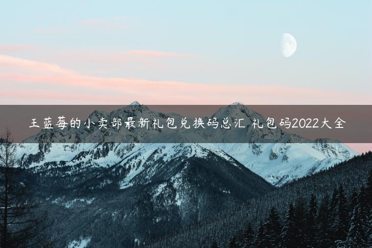 王蓝莓的小卖部最新礼包兑换码总汇 礼包码2022大全