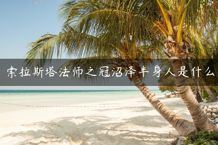 索拉斯塔法师之冠沼泽半身人是什么