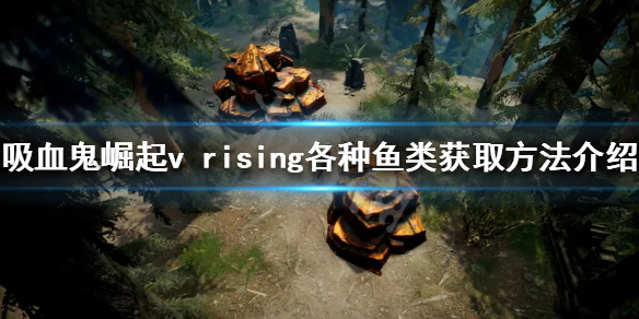 秒鲨号1
