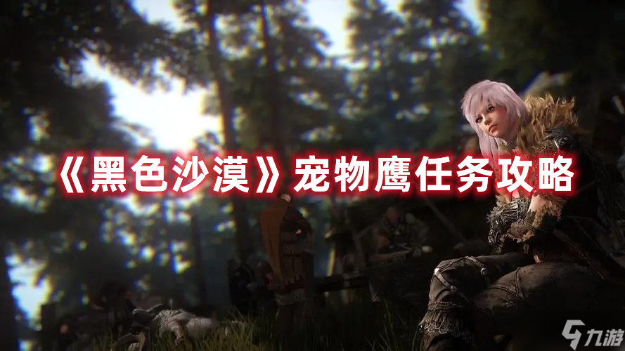 黑色沙漠宠物鹰任务怎么玩