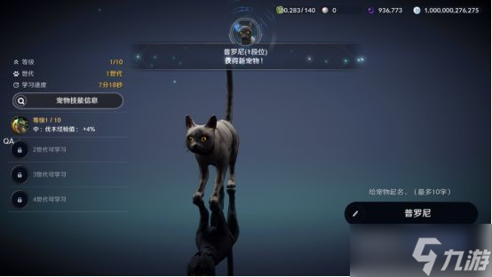 黑色沙漠黑色瘦猫任务怎么玩