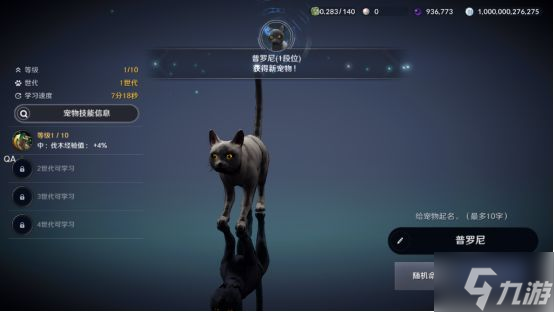 黑色沙漠手游黑色瘦猫任务怎么玩 黑色瘦猫任务制作方法教程