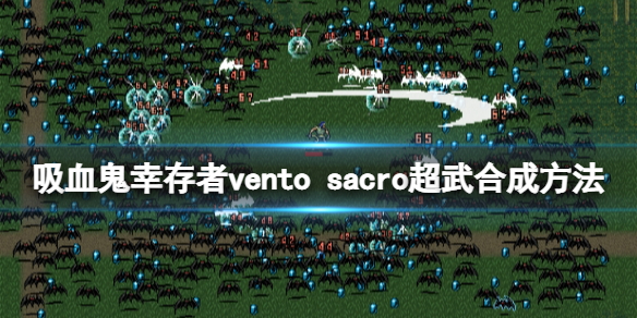 吸血鬼幸存者vento sacro超武如何合成？vento sacro超武合成方法
