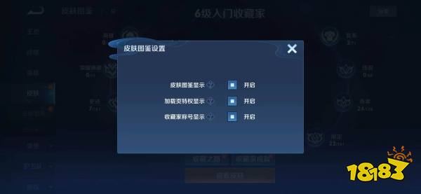 王者荣耀收藏家称号怎么隐藏 收藏家称号隐藏方法分享