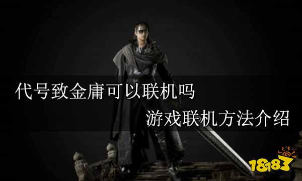 代号致金庸可以联机吗 游戏联机方法介绍