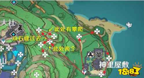 原神绫华突破材料一览