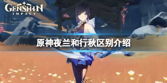 原神夜兰和行秋哪个好？夜兰和行秋区别介绍
