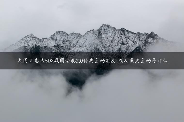 太阁立志传5DX战国绘卷2.0特典密码汇总 成人模式密码是什么