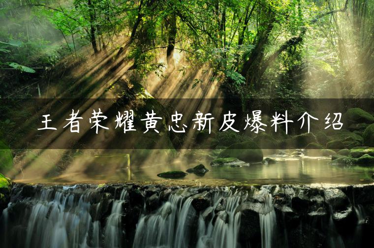王者荣耀黄忠新皮爆料介绍