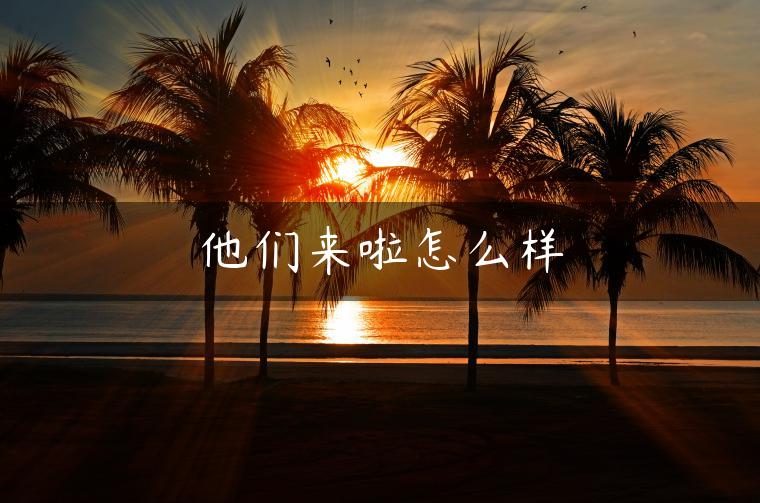 他们来啦怎么样