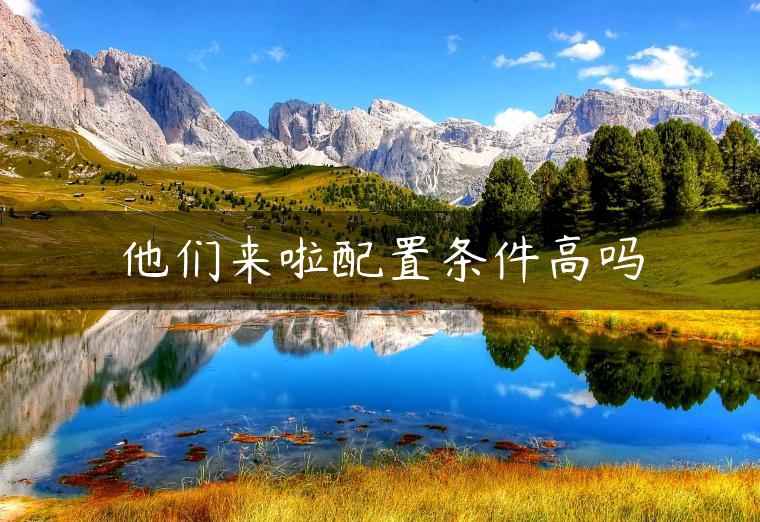 他们来啦配置条件高吗