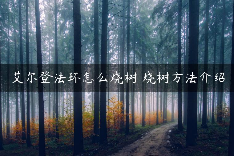 艾尔登法环怎么烧树 烧树方法介绍