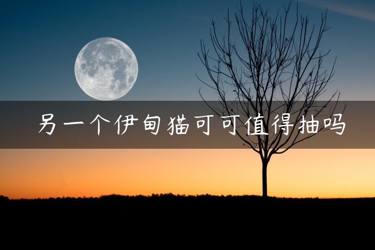 另一个伊甸猫可可值得抽吗