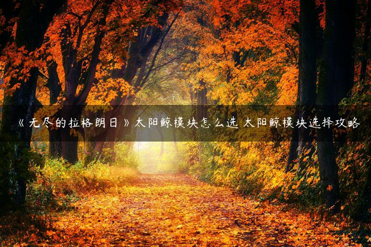 《无尽的拉格朗日》太阳鲸模块怎么选 太阳鲸模块选择攻略