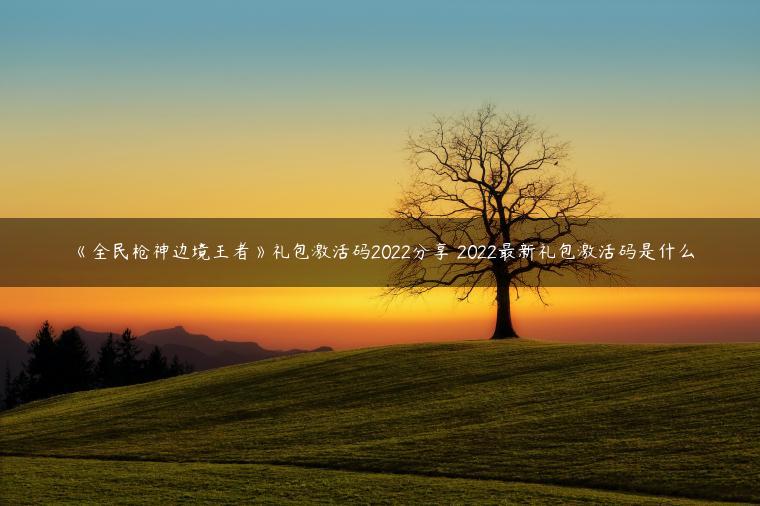 《全民枪神边境王者》礼包激活码2022分享 2022最新礼包激活码是什么