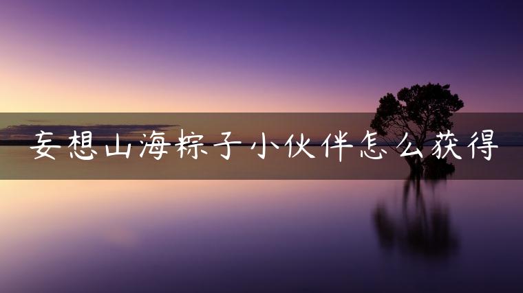 妄想山海粽子小伙伴怎么获得