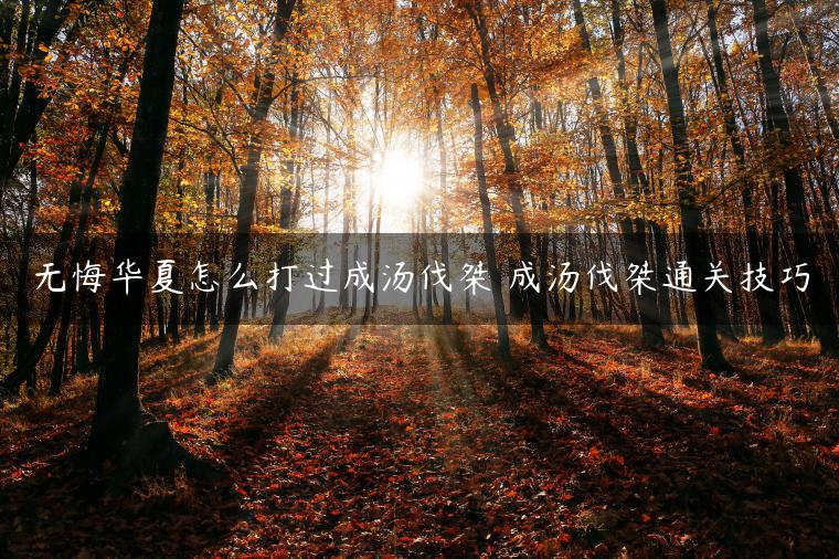 无悔华夏怎么打过成汤伐桀 成汤伐桀通关技巧