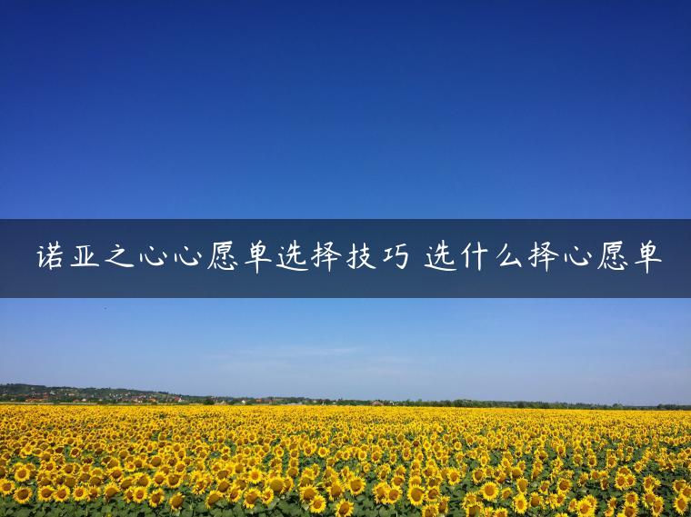 诺亚之心心愿单选择技巧 选什么择心愿单