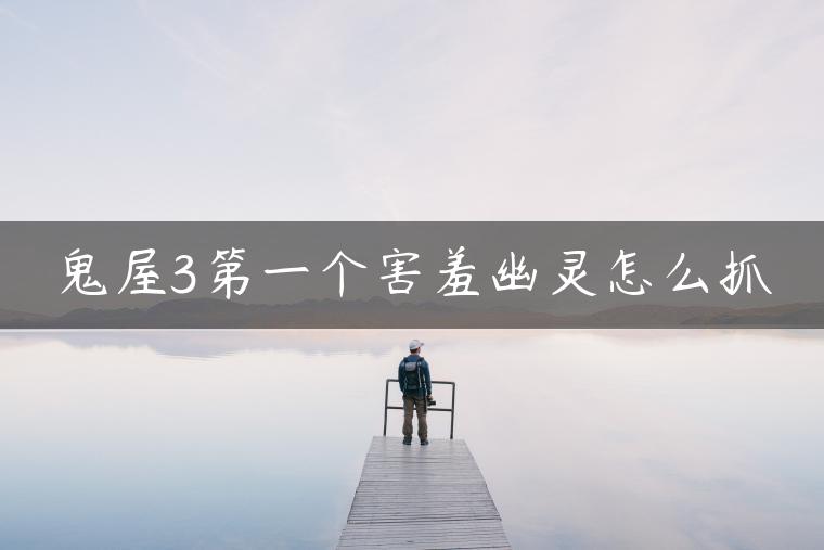 鬼屋3第一个害羞幽灵怎么抓