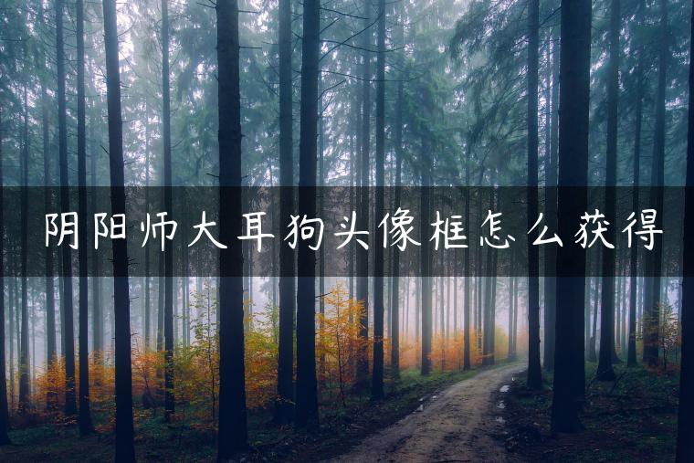 阴阳师大耳狗头像框怎么获得