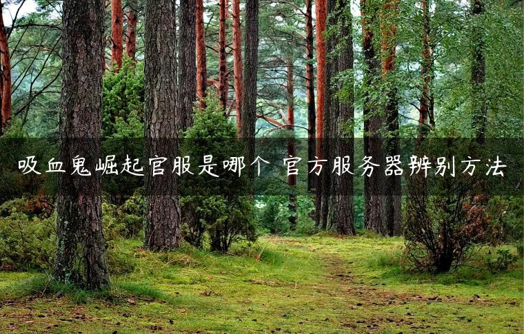 吸血鬼崛起官服是哪个 官方服务器辨别方法