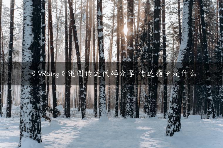 《VRising》跑图传送代码分享 传送指令是什么