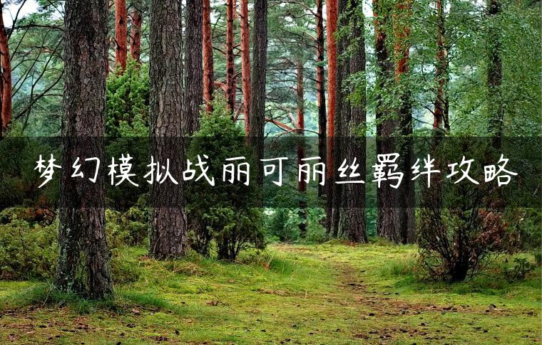 梦幻模拟战丽可丽丝羁绊攻略