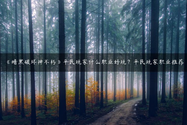 《暗黑破坏神不朽》平民玩家什么职业好玩？平民玩家职业推荐