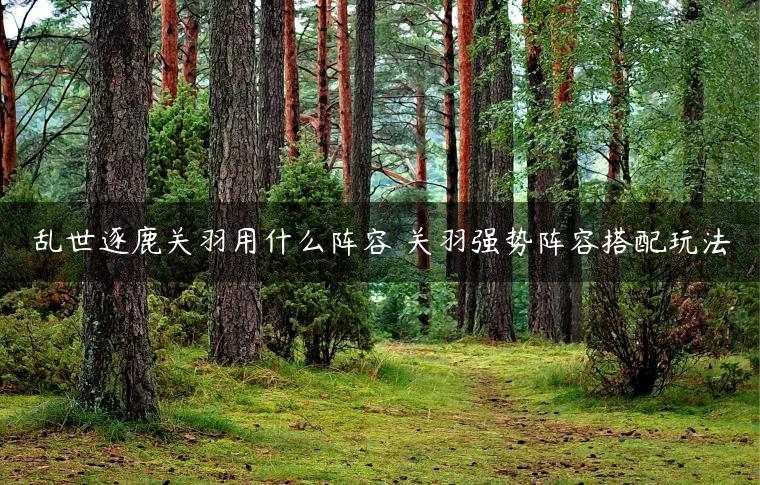乱世逐鹿关羽用什么阵容 关羽强势阵容搭配玩法