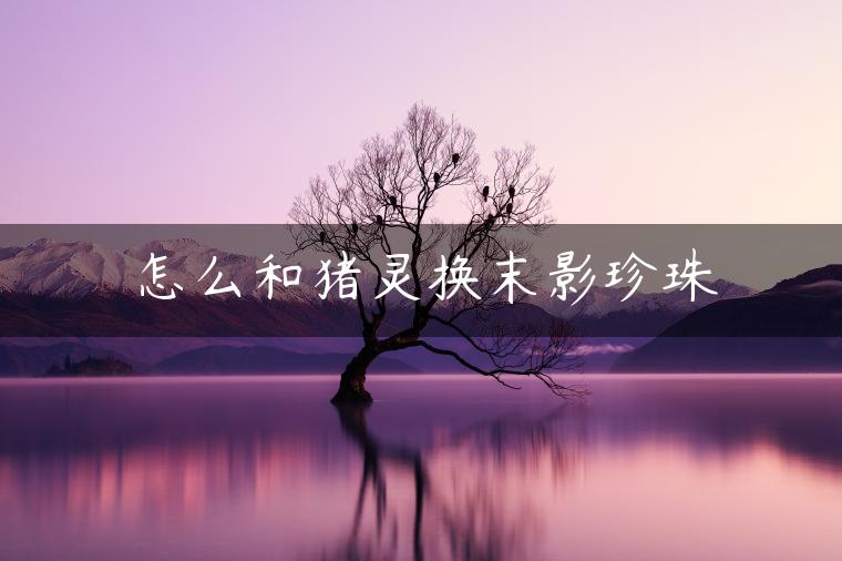 怎么和猪灵换末影珍珠