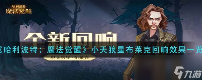 哈利波特：魔法觉醒小天狼星布莱克回响效果一览