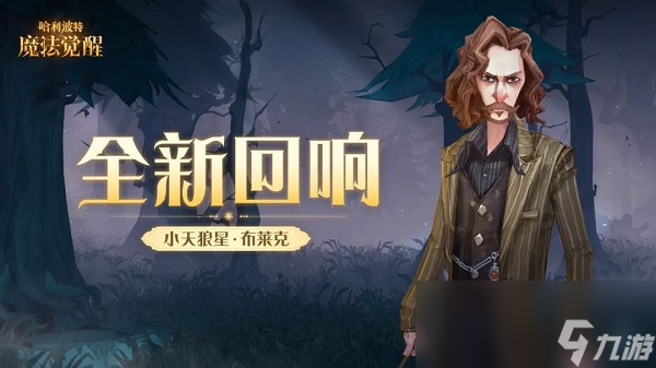 哈利波特：魔法觉醒小天狼星布莱克回响效果一览
