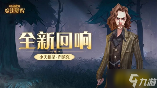 哈利波特魔法觉醒小天狼星布莱克回响效果是什么 小天狼星布莱克回响效果一览