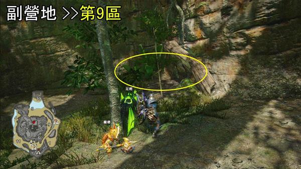 怪物猎人崛起曙光DLC密林环境生物与陷阱位置介绍