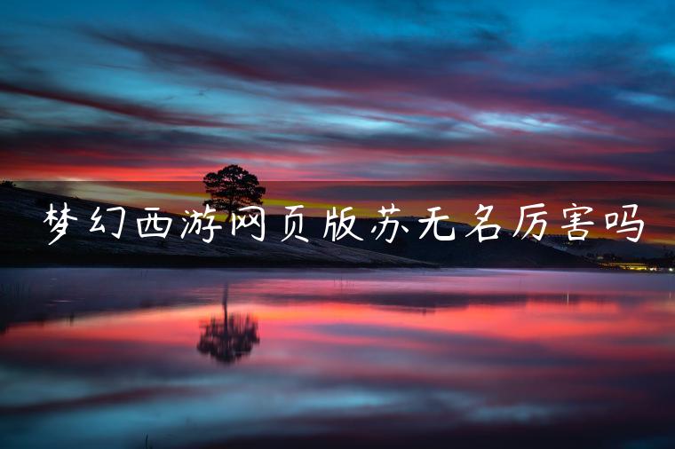 梦幻西游网页版苏无名厉害吗