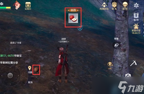 诺亚之心苹果树在哪