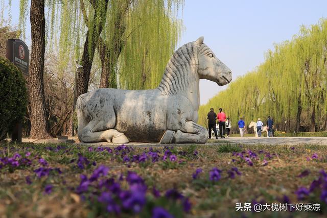 北京名胜古迹有哪些(北京名胜古迹有哪些?故宫)