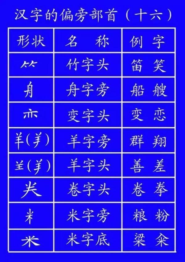 皮的笔顺(皮的笔顺组词)